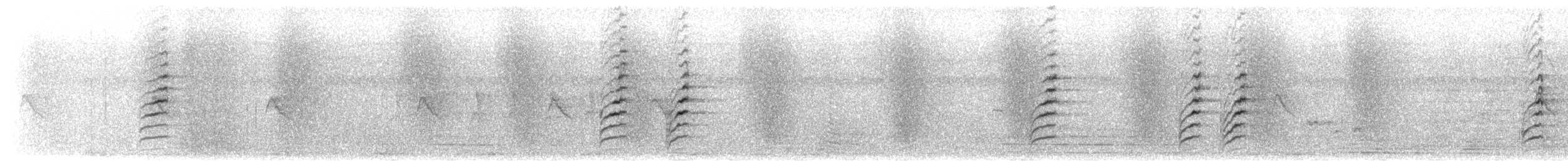 Camaroptère à tête grise (groupe brevicaudata) - ML542753351