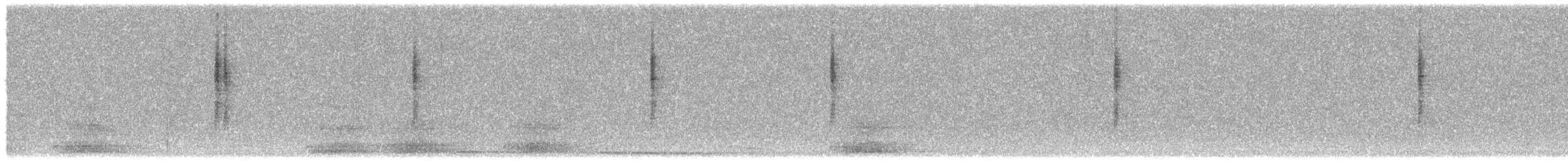 Dusky Hummingbird - ML542861281