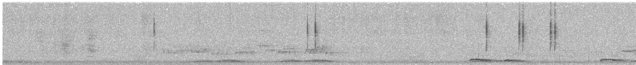 Dusky Hummingbird - ML542861291