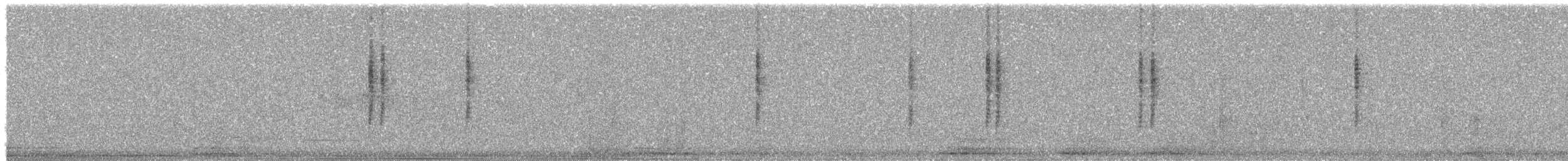 Dusky Hummingbird - ML542861301