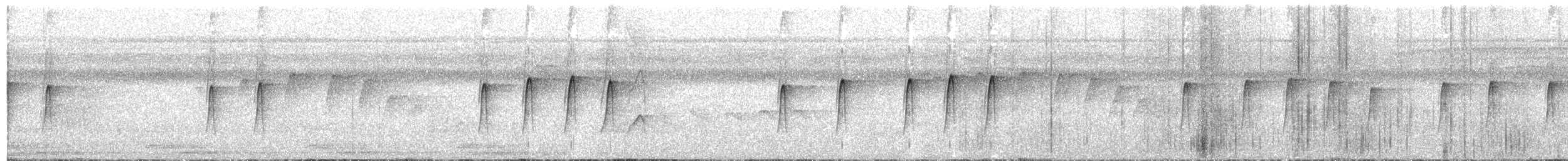 brunbukmeiskryper (genibarbis gr.) - ML542928441