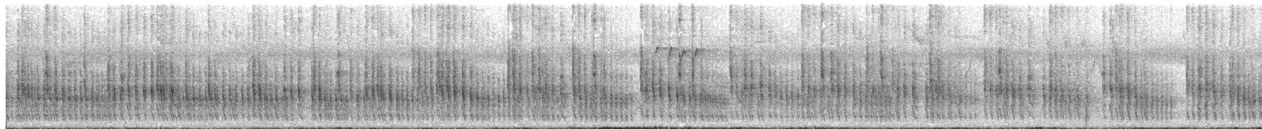 brunmykstjert (obidensis) - ML542965331