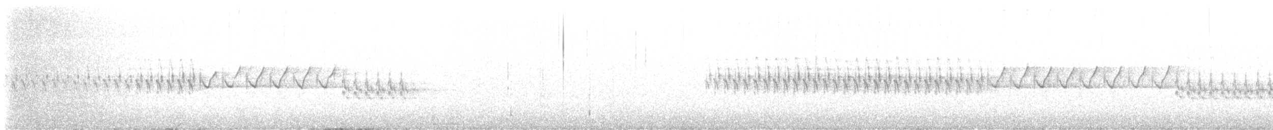 křivka bělokřídlá - ML543011611