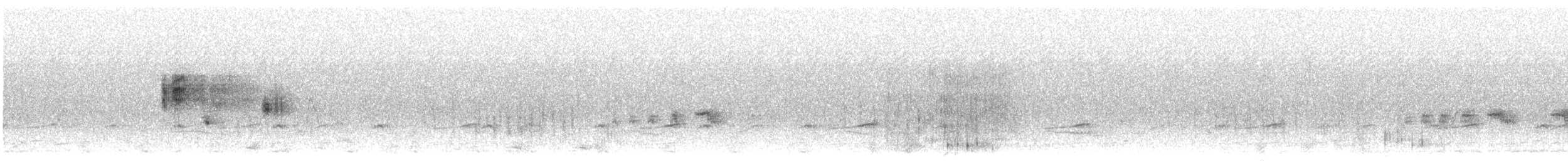 ネルソントゲオヒメドリ - ML543030191