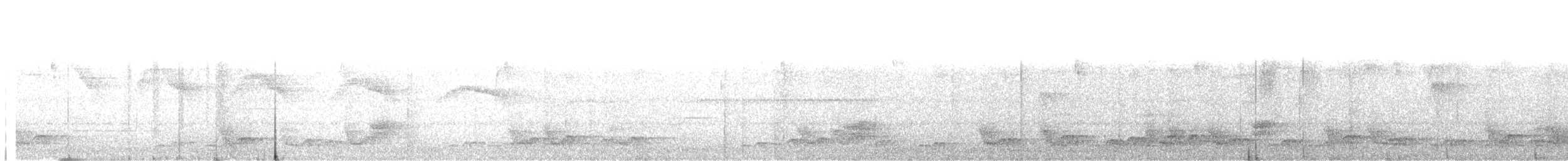 svartbrysttannvaktel - ML543111461