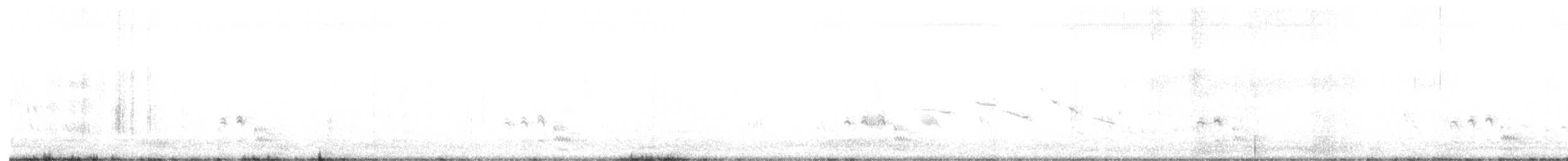 chřástal tmavý (ssp. jamaicensis/coturniculus) - ML543166571