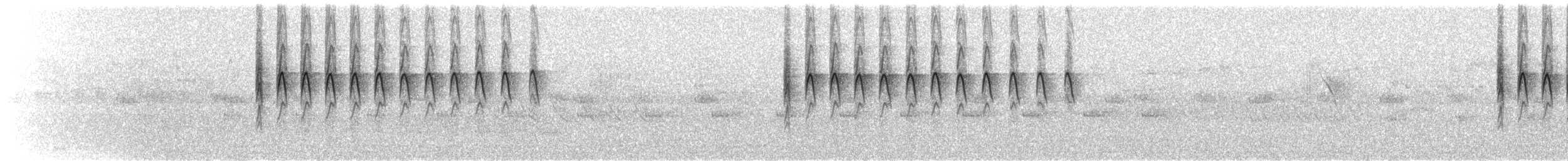 Song - Cryptic Warbler