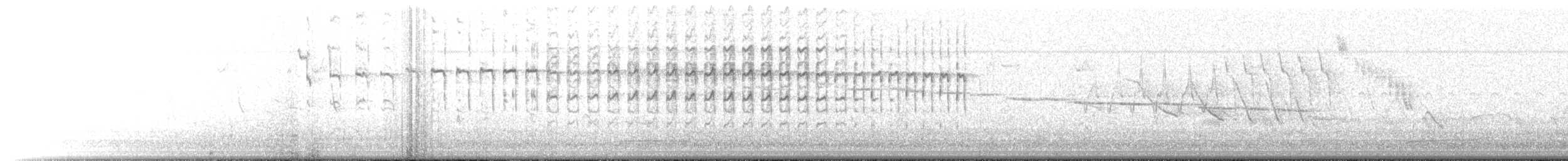 Striolated Tit-Spinetail - ML543276661
