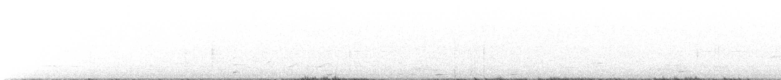 Ibis sacré - ML543298131