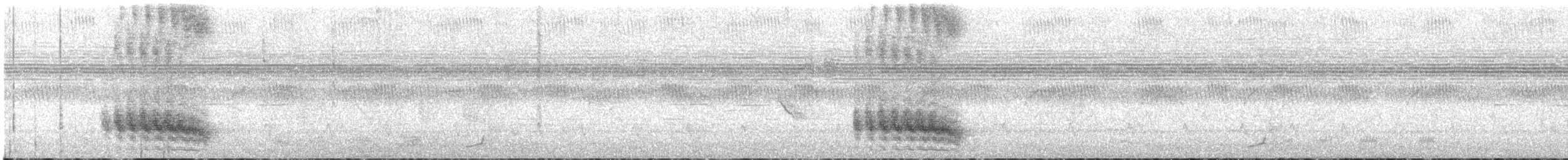 Гонолек гірський (підвид poensis) - ML543340541