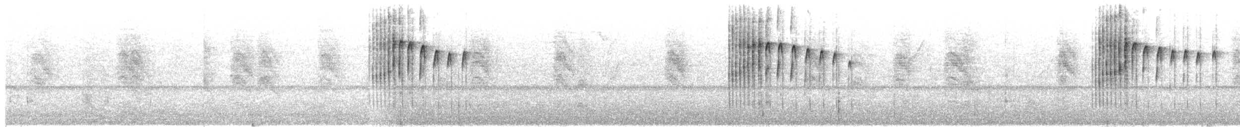 Altuni Kakancık (pernambucensis) - ML543348541