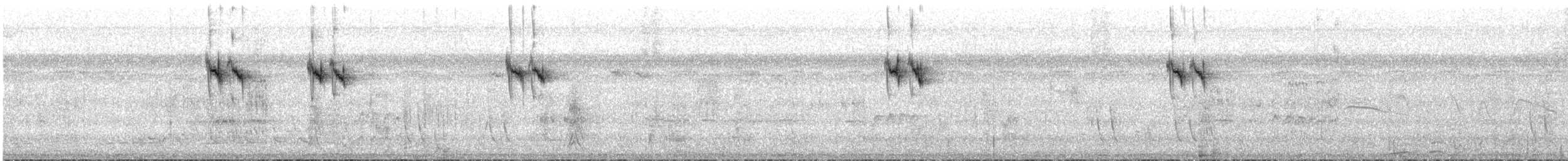 Olive-spotted Hummingbird - ML543361981