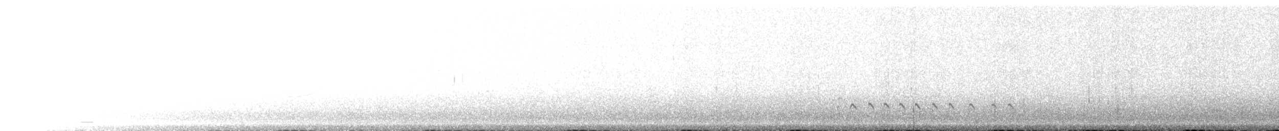 Hudsonian Whimbrel - ML543445671