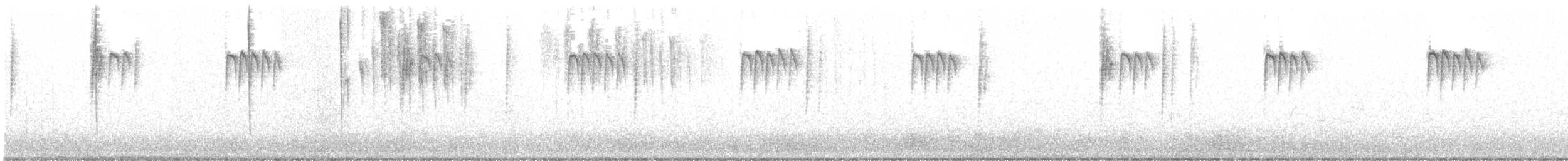 ヤブガラ（minimus グループ） - ML543451781