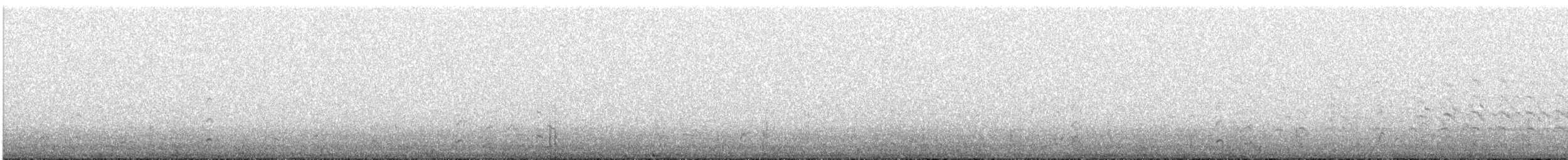 Hudsonian Godwit - ML543453121