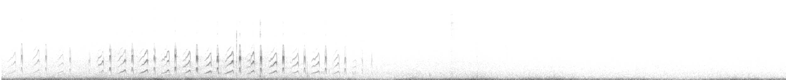 patagoniatunnelfugl (cunicularia gr.) - ML543468701