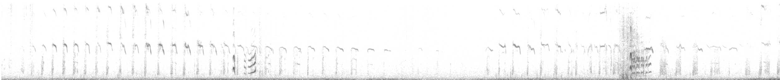 Patagonienerdhacker [cunicularia-Gruppe] - ML543473791