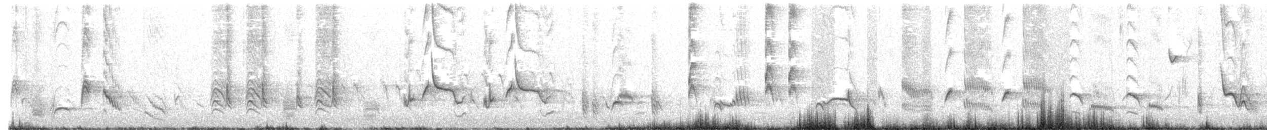 Langschnabel-Spottdrossel - ML543492001