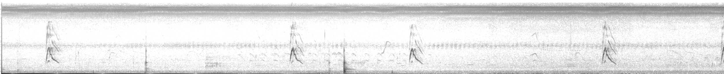 Black-bellied Whistling-Duck - ML543502921