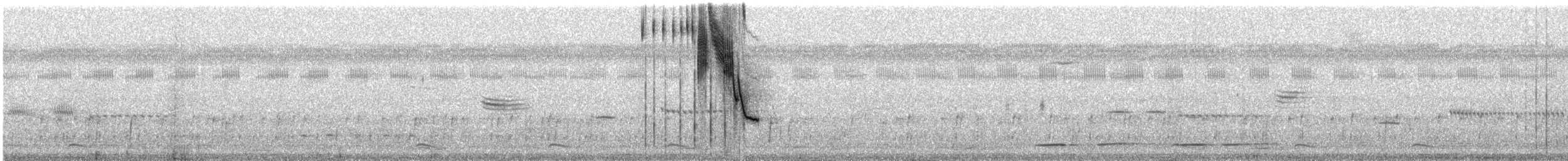 Blue-black Grassquit - ML543503181