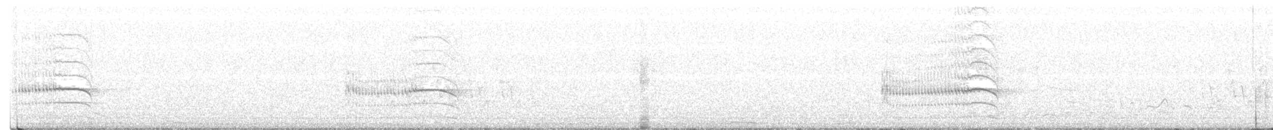 Pabuç Gagalı Tiran [mexicanus grubu] - ML543534071