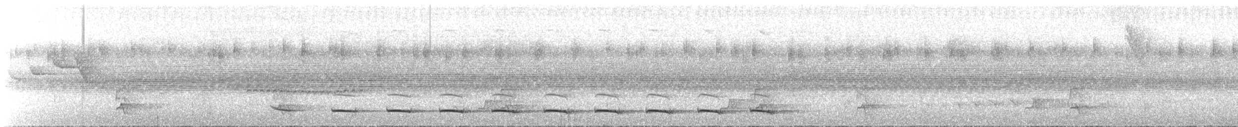 Atlantik Kara Gerdanlı Trogonu - ML543590181