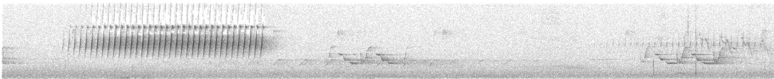 チャガシラヒメドリ - ML54367981