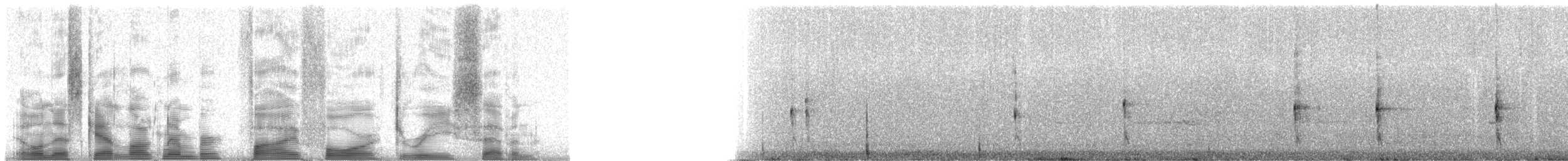 guamrikse - ML5437