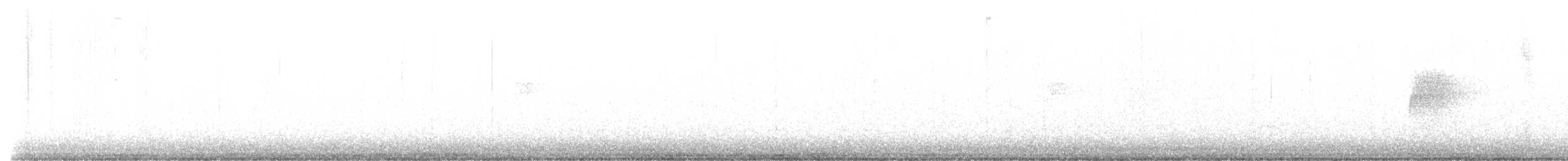 American Woodcock - ML543792081