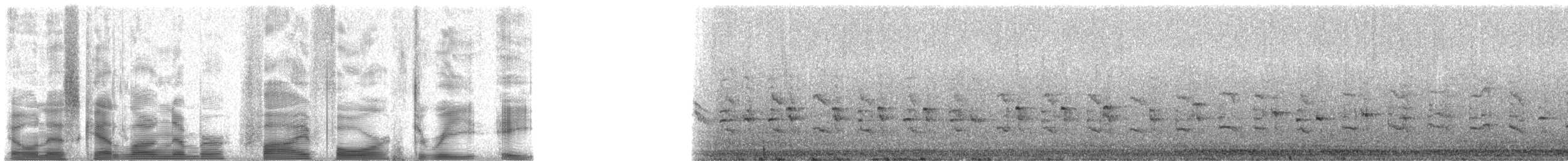 guamrikse - ML5438