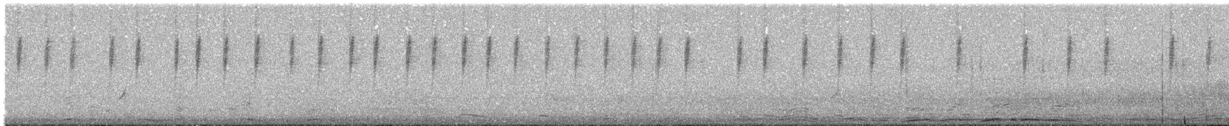 Dusky Hummingbird - ML543800651