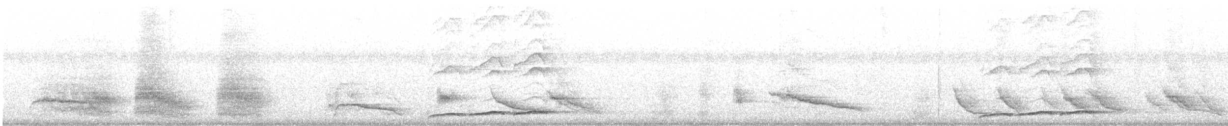 オーストラリアオニカッコウ（cyanocephalus／subcyanocephalus） - ML543811461