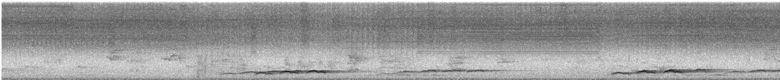 Тихоокеанский коэль (cyanocephalus/subcyanocephalus) - ML543811481