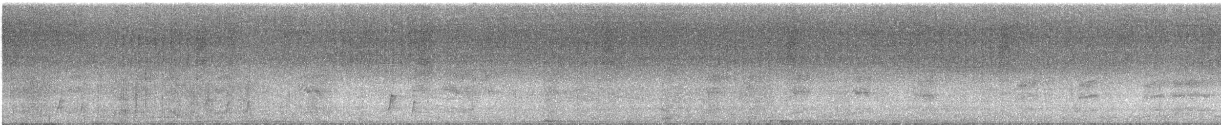 rosela černohlavá - ML543812731
