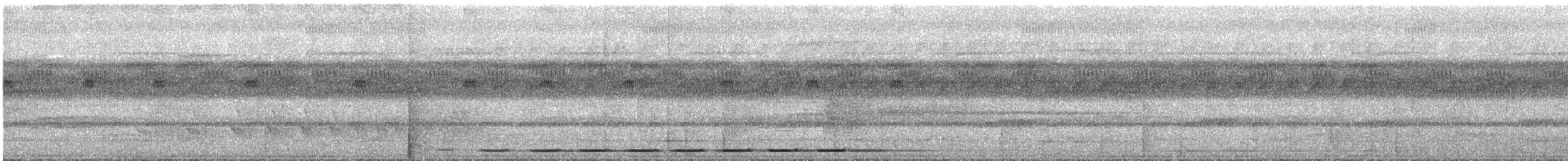 brunryggmaurpitta - ML543827151