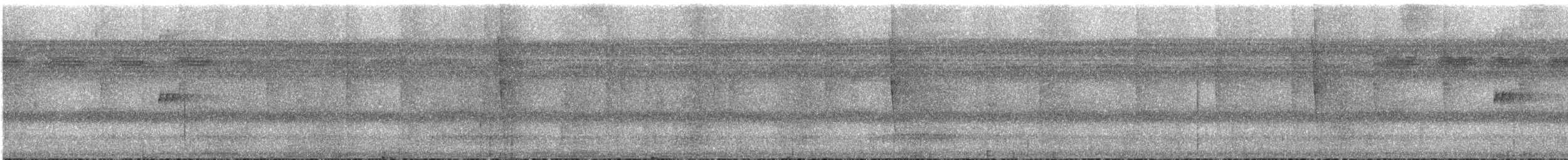 Kısa Kuyruklu Küçük Tiran - ML543849841