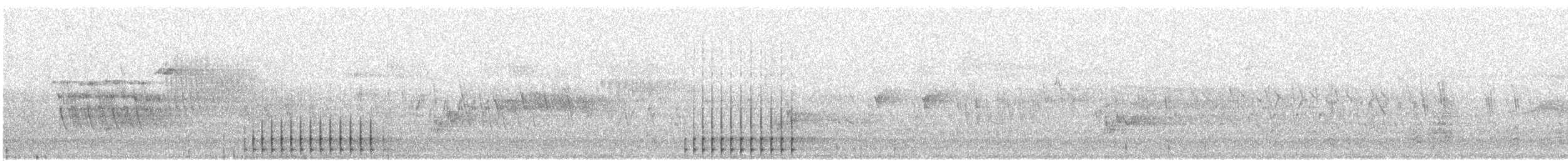 strakapoud americký - ML543941321