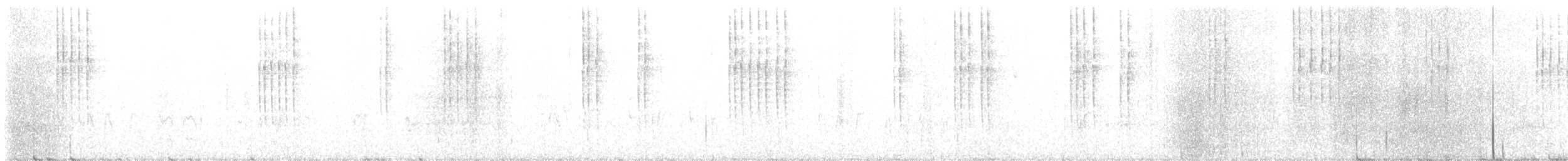 Pacific Wren - ML543948581