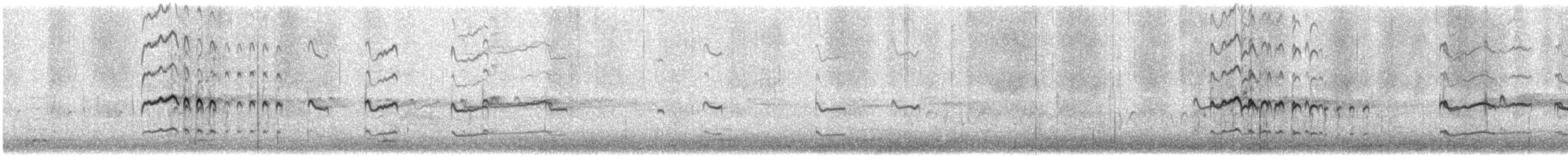 Chorlitejo Culirrojo - ML544003171