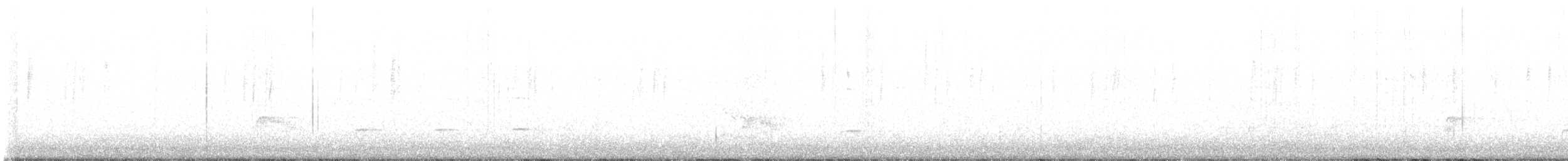 furuskrike (diademata gr.) - ML544059921