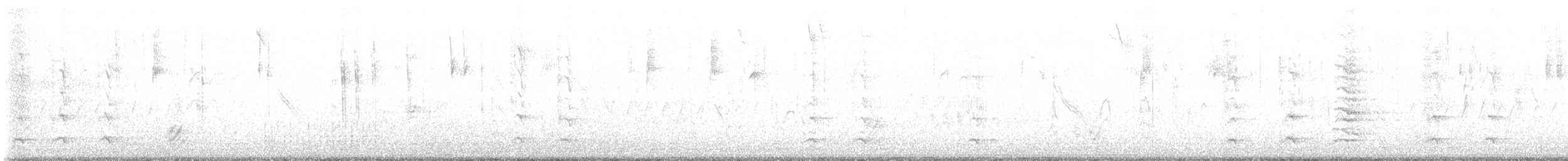 furuskrike (diademata gr.) - ML544060351