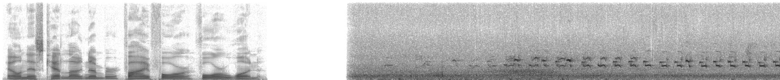 guamrikse - ML5441
