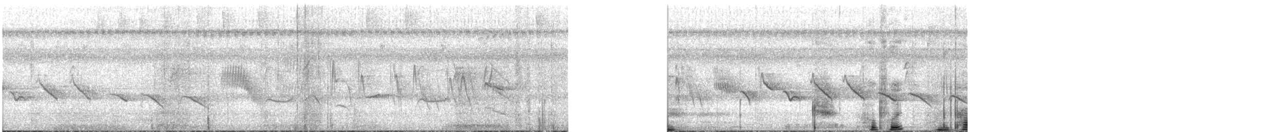 Kestane Karınlı Koca Tohumcul - ML544110921