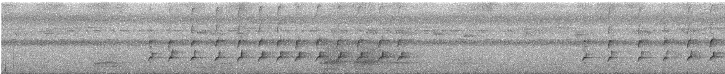 Méliphage gracile - ML544139541