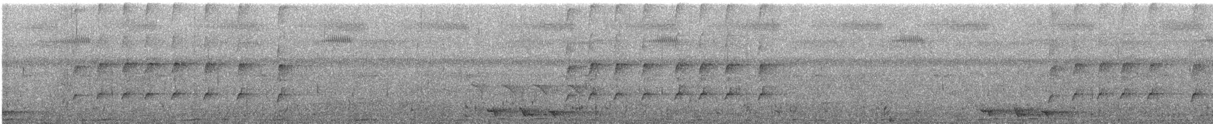 Méliphage gracile - ML544140811