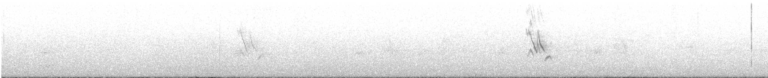 White Wagtail (Chinese) - ML544142111