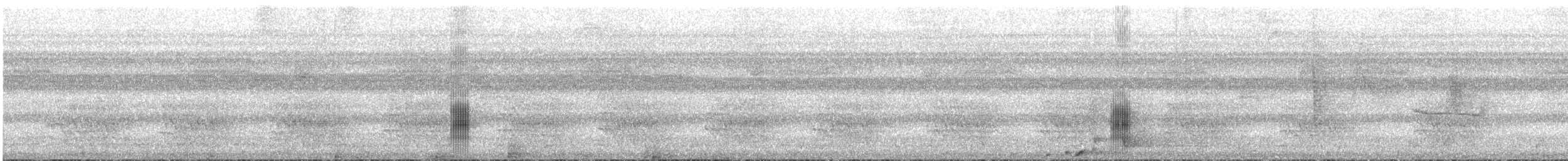 Black-tailed Tityra - ML544147931