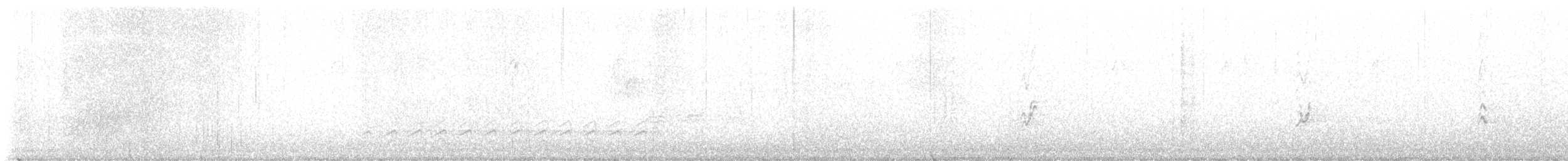 Каролинский крапивник - ML544261571
