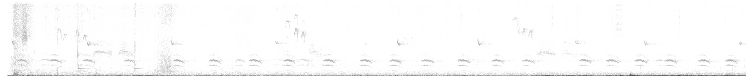 Beyaz Göğüslü Sıvacı (aculeata/alexandrae) - ML544271981