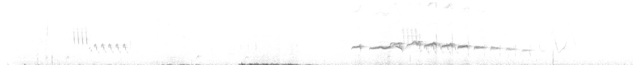 Strichelrücken-Ameisenfänger - ML544282231